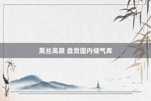 黑丝高跟 盘货国内储气库