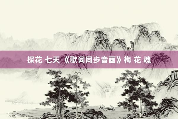 探花 七天 《歌词同步音画》梅 花 魂