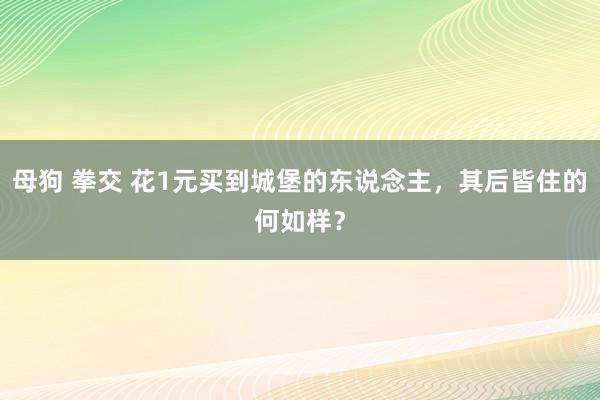 母狗 拳交 花1元买到城堡的东说念主，其后皆住的何如样？