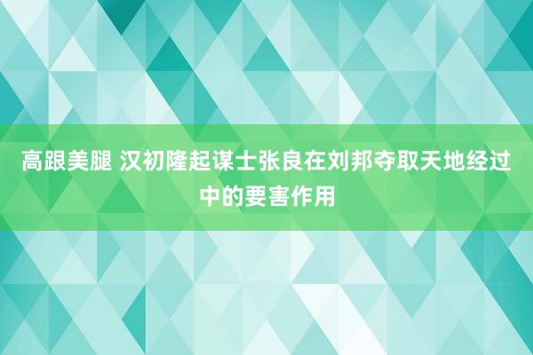 高跟美腿 汉初隆起谋士张良在刘邦夺取天地经过中的要害作用