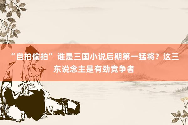 “自拍偷拍” 谁是三国小说后期第一猛将？这三东说念主是有劲竞争者