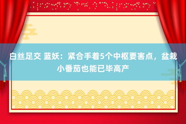 白丝足交 蓝妖：紧合手着5个中枢要害点，盆栽小番茄也能已毕高产